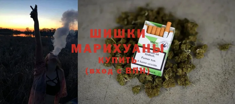 Бошки марихуана LSD WEED  нарко площадка какой сайт  Череповец  как найти наркотики 